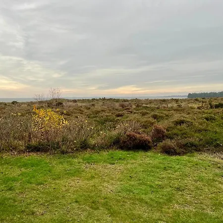 Soenshoern 26, Whg. 5 Wattblick - Sylt / Apartment Munkmarsch